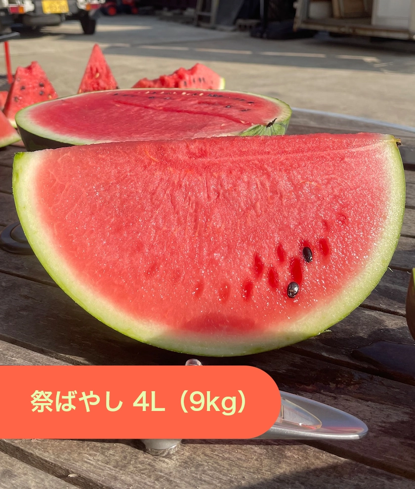 【朝採れ当日出荷】尾花沢スイカ 祭ばやし 4L(9kg)