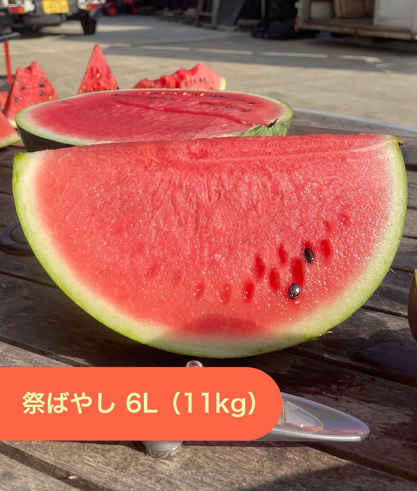 【朝採れ当日出荷】尾花沢スイカ 祭ばやし 5L(10kg)