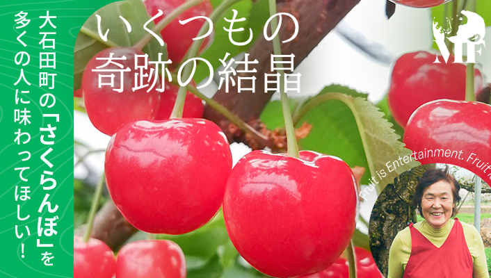 特集バナー