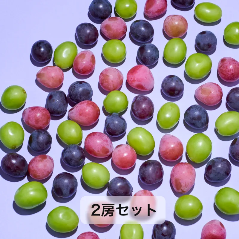 商品画像1
