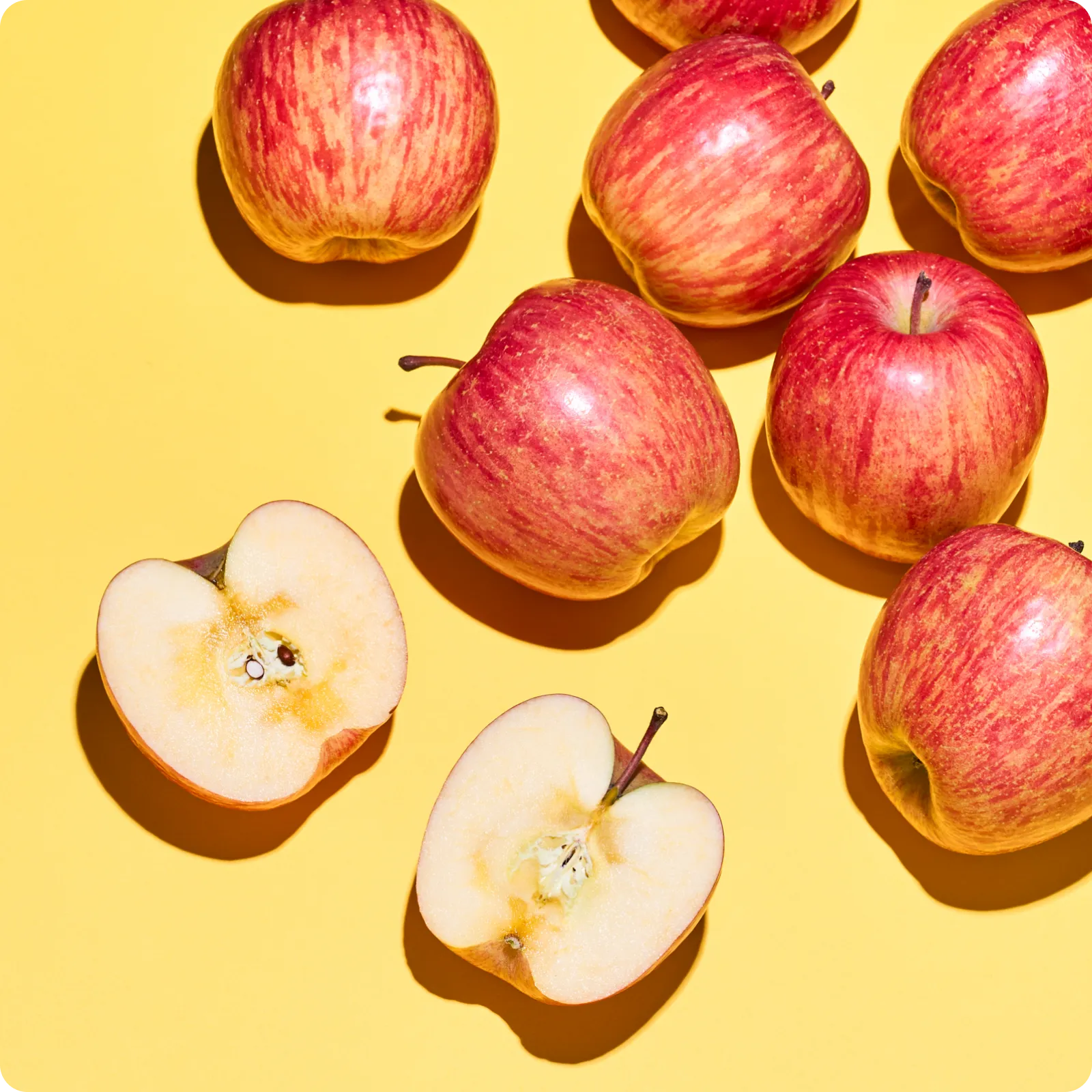 HOT🔥山形県産サンふじデイリーセレクト3kg🍎日光をたっぷり浴びたりんご